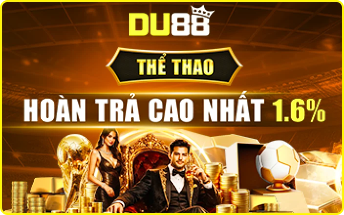 DU88 Banner 6
